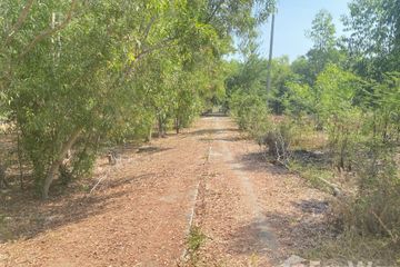 Land for sale in Sam Ko, Phra Nakhon Si Ayutthaya