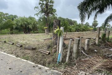 Land for sale in Pa Khat, Songkhla