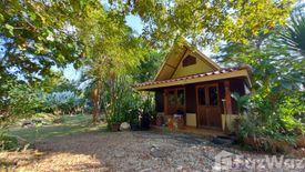 3 Bedroom Villa for sale in San Sai, Chiang Rai