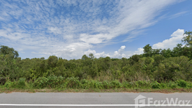 Land for sale in Pak Ro, Songkhla