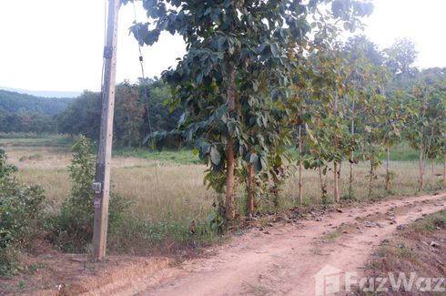 Land for sale in Huai Sak, Chiang Rai