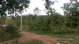 Land for sale in Huai Sak, Chiang Rai