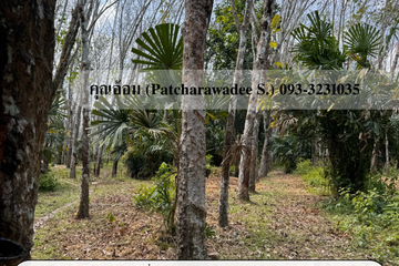 Land for sale in Na Wa, Songkhla