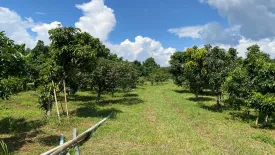 Land for sale in Thung Khao Phuang, Chiang Mai