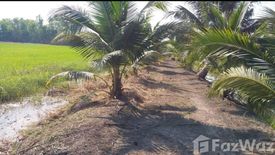 Land for sale in Bueng Ba, Pathum Thani