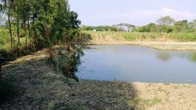 Land for sale in Bo Ngoen, Pathum Thani