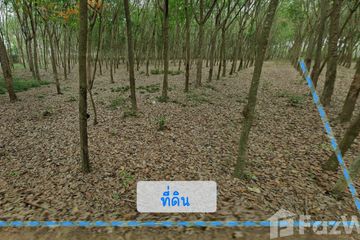 Land for sale in Nam Khok, Rayong