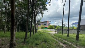 Land for sale in Nam Khok, Rayong