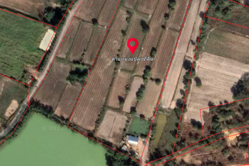 Land for sale in Sawathi, Khon Kaen