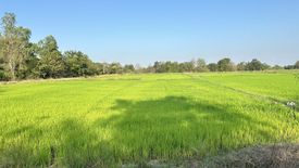 Land for sale in Nong Krot, Nakhon Sawan