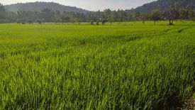 Land for sale in Phanom Rok, Nakhon Sawan