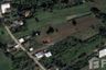 Land for sale in Yang Tan, Nakhon Sawan