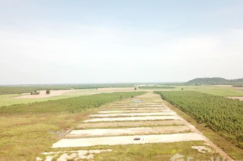 Land for sale in Khao Mai Kaeo, Prachin Buri