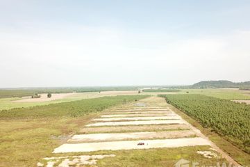 Land for sale in Khao Mai Kaeo, Prachin Buri