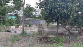 Land for sale in Narisra, Bueng Nam Rak, Pathum Thani