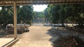 Land for sale in Nai Mueang, Lamphun