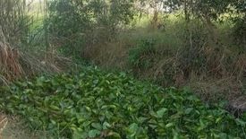 Land for sale in Khlong Song, Pathum Thani