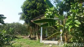 Land for sale in Bang Nang Li, Samut Songkhram