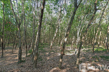 Land for sale in Nong Lalok, Rayong