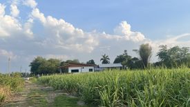 Land for sale in Nai Mueang, Kamphaeng Phet