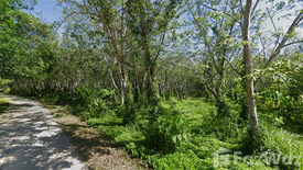 Land for sale in Thung Luang, Chumphon