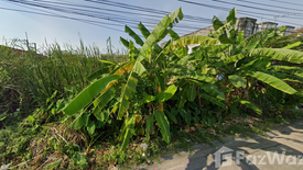 Land for sale in Bang Prok, Pathum Thani