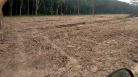 Land for sale in Nong Yai, Chonburi