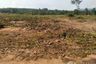 Land for sale in Nong Yai, Chonburi