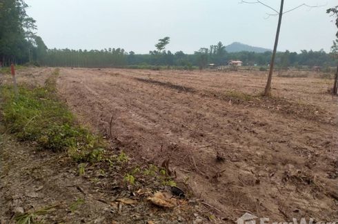 Land for sale in Nong Yai, Chonburi