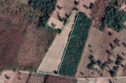 Land for sale in Phai, Yasothon