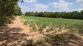 Land for sale in Phai, Yasothon