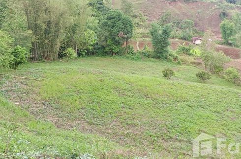 Land for sale in Bo Kluea Nuea, Nan