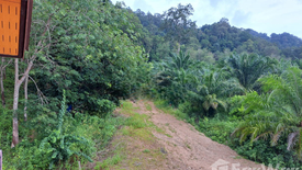 Land for sale in Ao Nang, Krabi