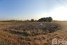 Land for sale in Pa Tan, Lopburi