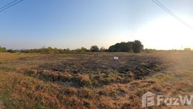 Land for sale in Pa Tan, Lopburi