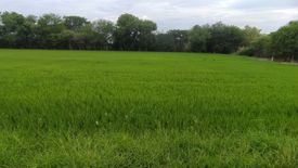 Land for sale in Khlong Khwang, Nonthaburi