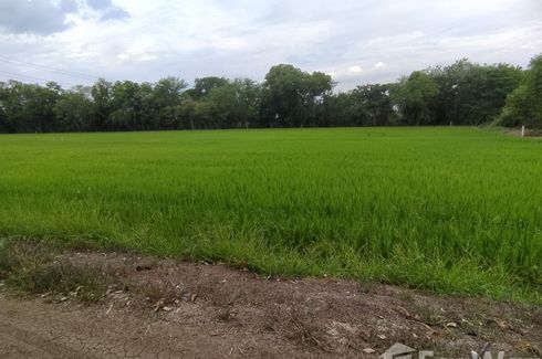 Land for sale in Khlong Khwang, Nonthaburi