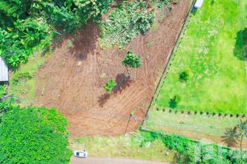 Land for sale in Ping Khong, Chiang Mai