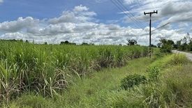 Land for sale in Fak Huai, Sa Kaeo