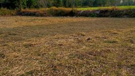 Land for sale in Bua Khao, Kalasin