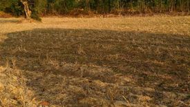 Land for sale in Bua Khao, Kalasin