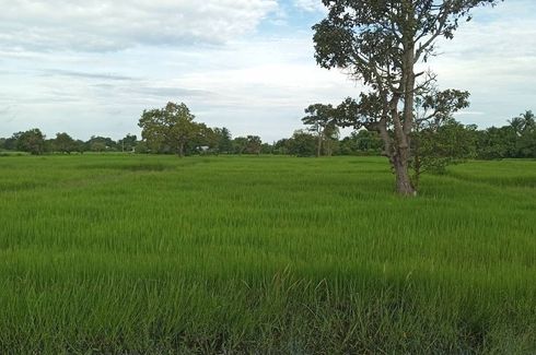 Land for sale in Nok Mueang, Surin