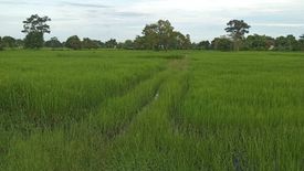 Land for sale in Nok Mueang, Surin