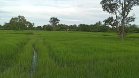 Land for sale in Nok Mueang, Surin