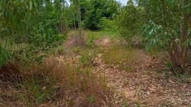 Land for sale in Ban Lao, Chaiyaphum