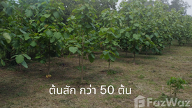 Land for sale in Sarika, Nakhon Nayok