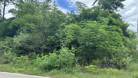 Land for sale in Ang Hin, Ratchaburi