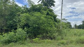 Land for sale in Ang Hin, Ratchaburi