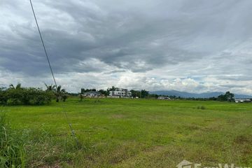 Land for sale in Rim Kok, Chiang Rai