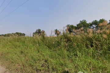 Land for sale in Phayom, Phra Nakhon Si Ayutthaya